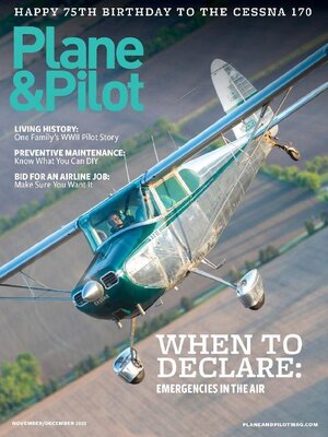 cover image of Plane & Pilot